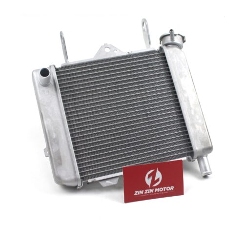 Két Nước - Raider FI, Satria FI