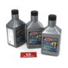 Nhớt Amsoil 4T 10w40