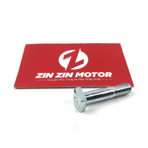 Ốc Cùi Dĩa 8x36 mm - Raider FI, Satria FI, Raider Xăng Cơ, Raider 2006 K6, Raider 2009 K9, GSX R150, GSX S150, Bandit 150, Axelo 125 Indonesia