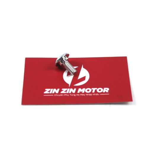 Ốc Dàn Áo 6x16 mm - Raider FI, Satria FI, Raider Xăng Cơ, Raider 2006 K6, Raider 2009 K9, GSX R150, GSX S150, Bandit 150, Axelo 125 Indonesia