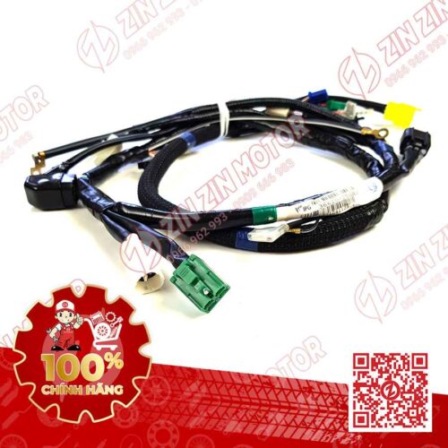 Dây Điện Sườn Raider Xăng Cơ