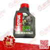 0.8L